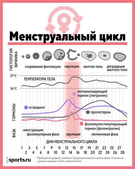 Совместимость пиявок и менструации