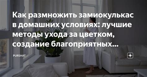 Создание благоприятных условий для роста и плодоношения