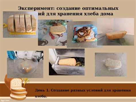 Создание оптимальных условий для хранения