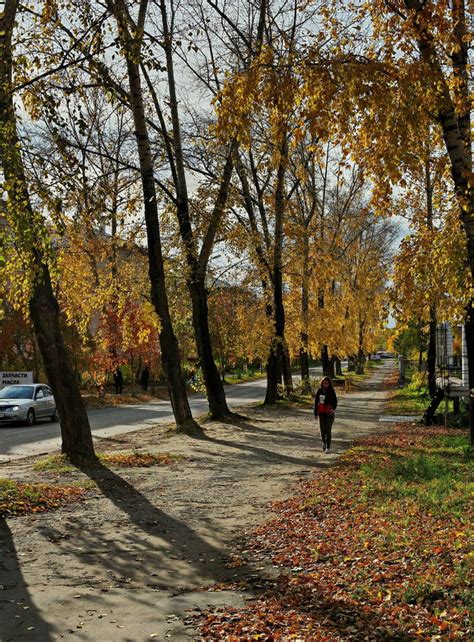 Солнечный день в октябре: возможности для активного отдыха