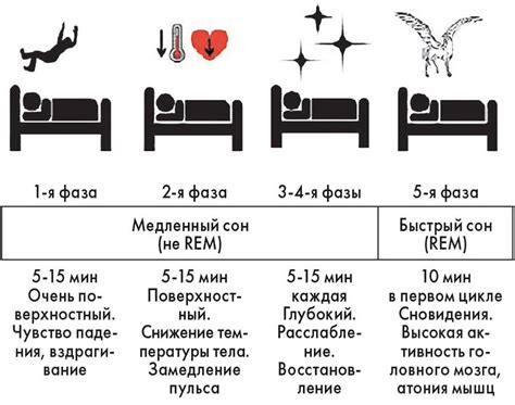 Сон в разное время суток