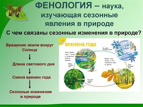 Сон о разрушенной ферме: означает потерю стабильности и изменения в жизни