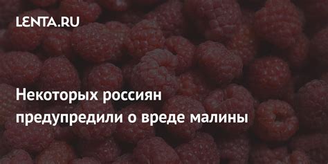 Сон о сборе малины: предвестник родовитости и семейного благополучия