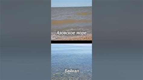 Состояние воды и прозрачность в Чёрном море