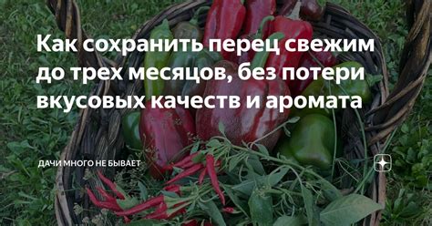 Сохранение аромата и вкусовых качеств мойвы