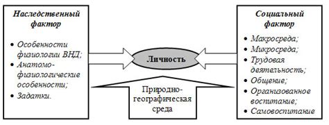 Социальные факторы в желании сладкого