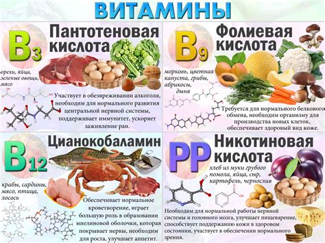 Сочетание железа и витаминов группы Б в продуктах и добавках