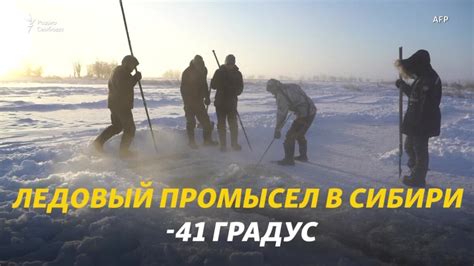 Спаси того, кто умеет собирать лед: от 2 лет