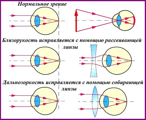 Сравнение зрения крота и человека