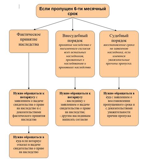 Сроки и процедуры принятия наследства племянниками