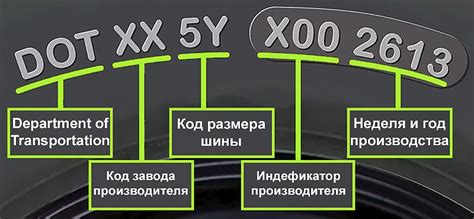 Срок годности шин: факторы и рекомендации