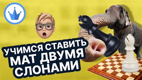 Стратегии игры с двумя слонами и королем