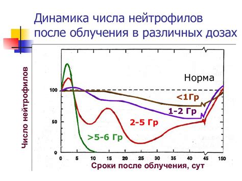 Схемы облучения при метастазах различных органов