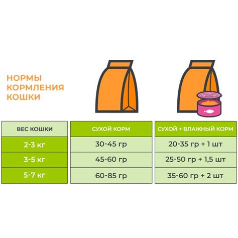 Сыр для котенка 3 месяца: нужно ли ограничивать?