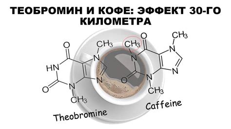 Теобромин в кофе: присутствие и значение