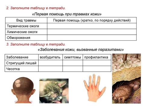 Терморегуляция и комфорт при использовании рашгарда