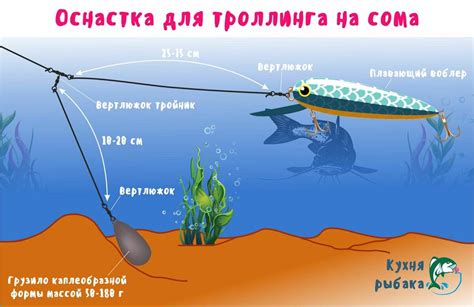 Техника ловли на Волге на троллинг: основные приемы и советы