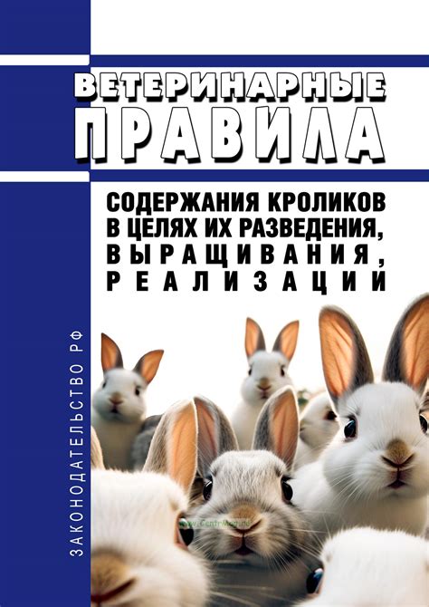 Требования к условиям содержания кроликов в земле