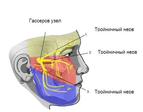Тройничный нерв: причины воспаления и последствия
