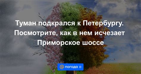 Туман исчезает