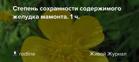 Убеждение в сохранности содержимого