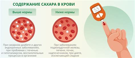 Углеводы в лимонаде: как это влияет на уровень сахара в крови?