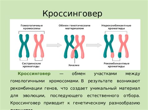 Угроза генетическому разнообразию