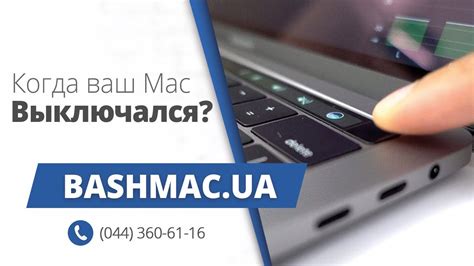 Узнать время последней активности