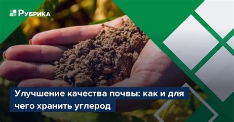 Улучшение качества почвы и роста растений