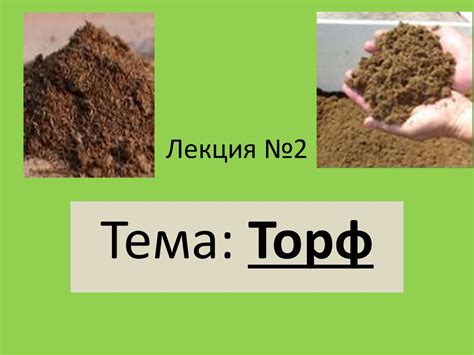 Уникальные свойства торфа