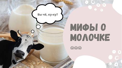 Уокруг да около: популярные мифы о молоке и кошках