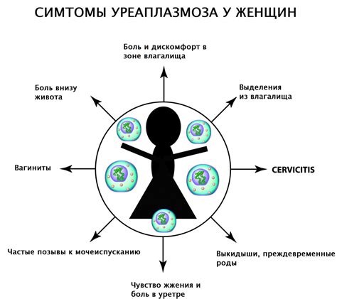 Уреаплазма у женщин