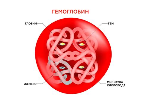 Уровень гемоглобина в организме и его связь с пульсом