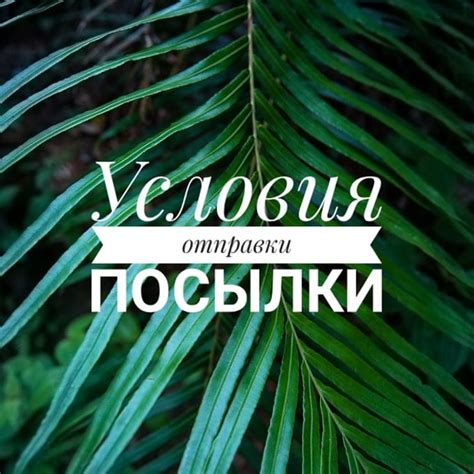 Условия отправки посылки