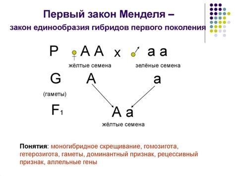 Установленные правила наследования