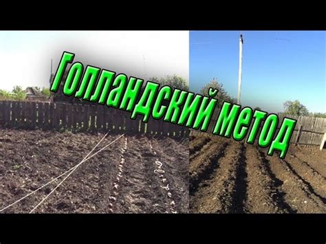 Уход за посадкой в заморозки