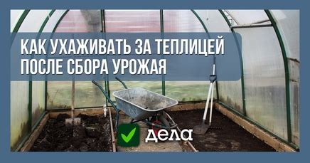 Уход за теплицей после сбора урожая