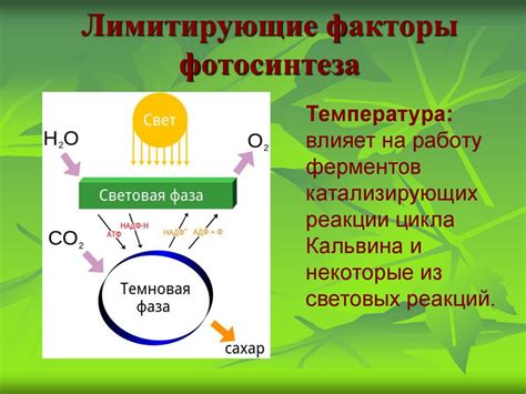 Факторы, влияющие на время включения света в Хомутово