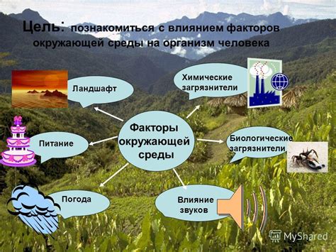 Факторы окружающей среды и воздействия на организм