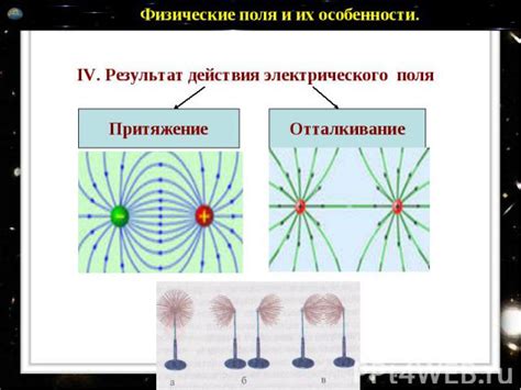 Физические особенности леших