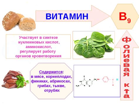 Фолиевая кислота и магний: важность их взаимодействия в организме