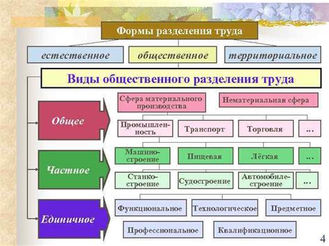 Формы владения и организация труда