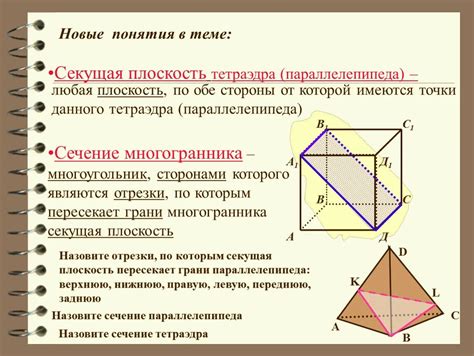 Формы осевых сечений: плоскость и кривая