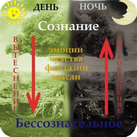 Функции и значение снов в жизни человека