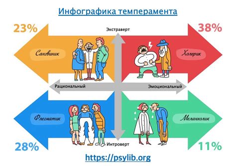 Характер и темперамент: что определяется наследственностью