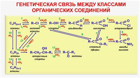 Химия между Майей и Фарклом