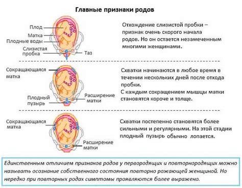 Холод и процесс родов