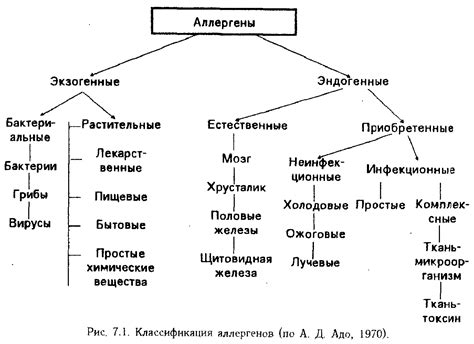 Цитрусовые аллергены и их связь с поносом