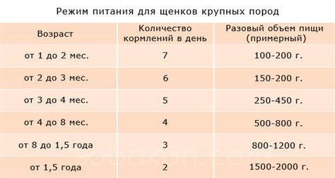 Частота и дозировка кормления рыбой