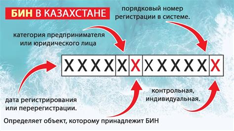 Часто задаваемые вопросы о БИН у ИП в Казахстане